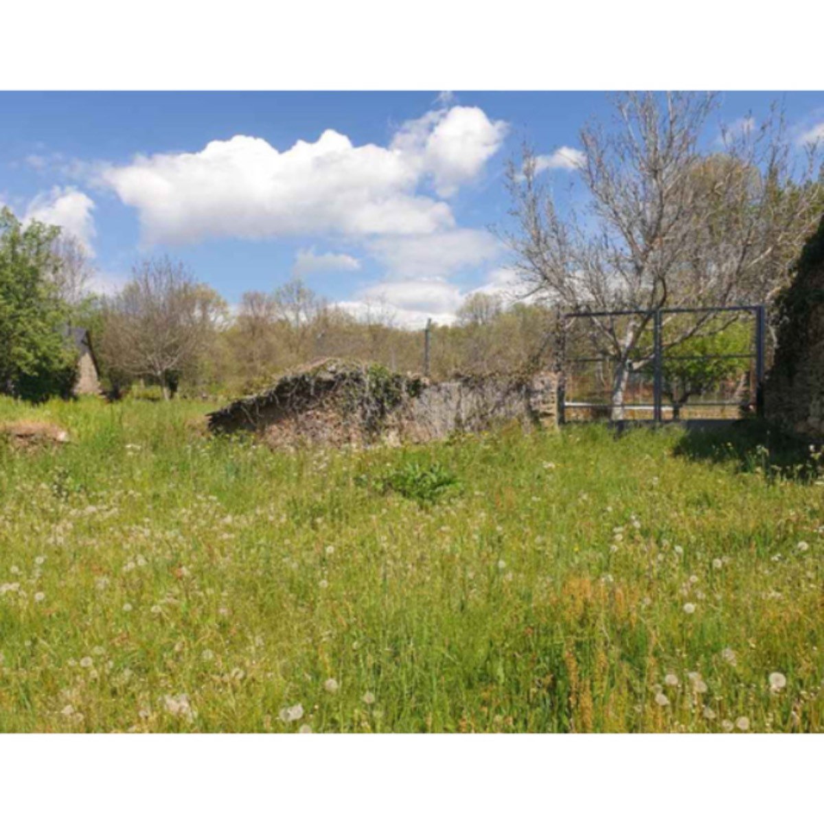 SANABRIA - PLAZA SAN MIGUEL