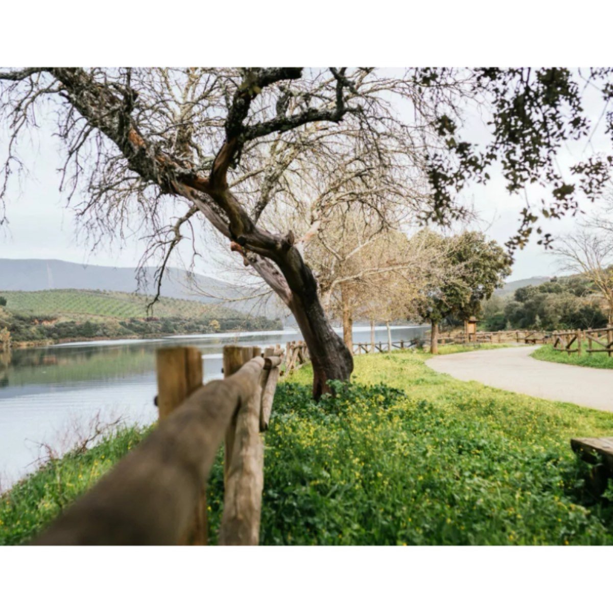 La Pesga Cáceres