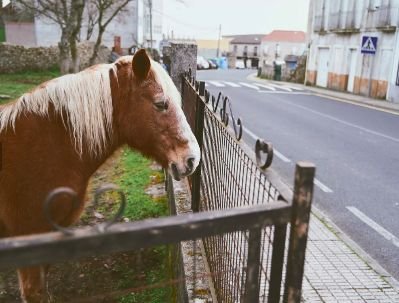 Parada de Sil Ourense