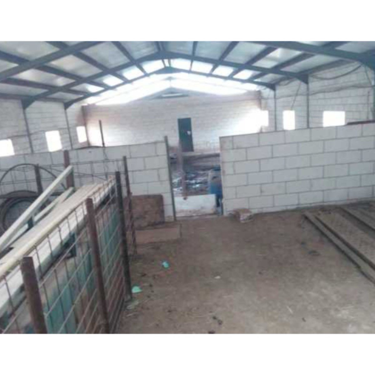 SE VENDE GRANJA DE CERDOS