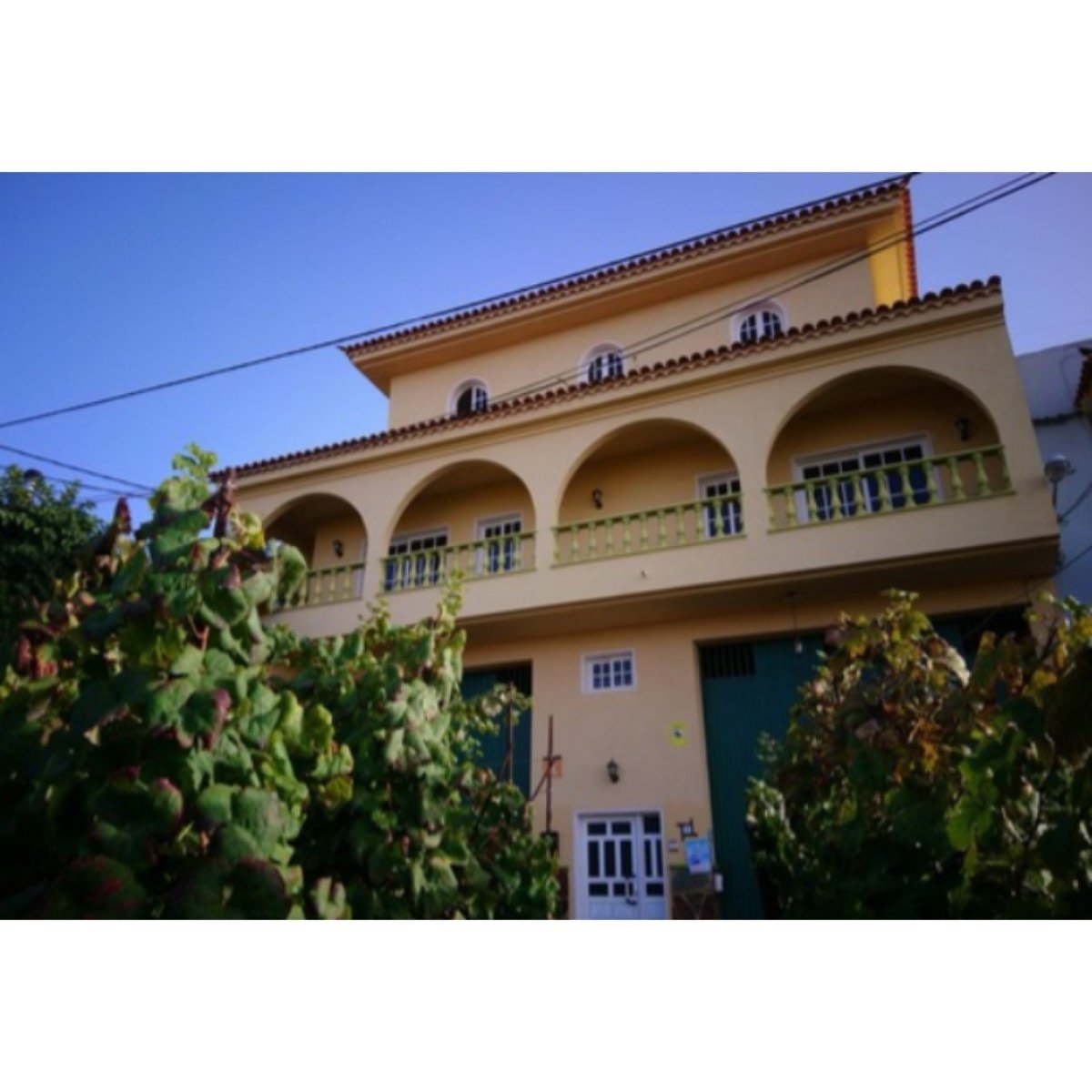 VIVIENDA RURAL EN VENTA EN LA VICTORIA DE ACENTEJO