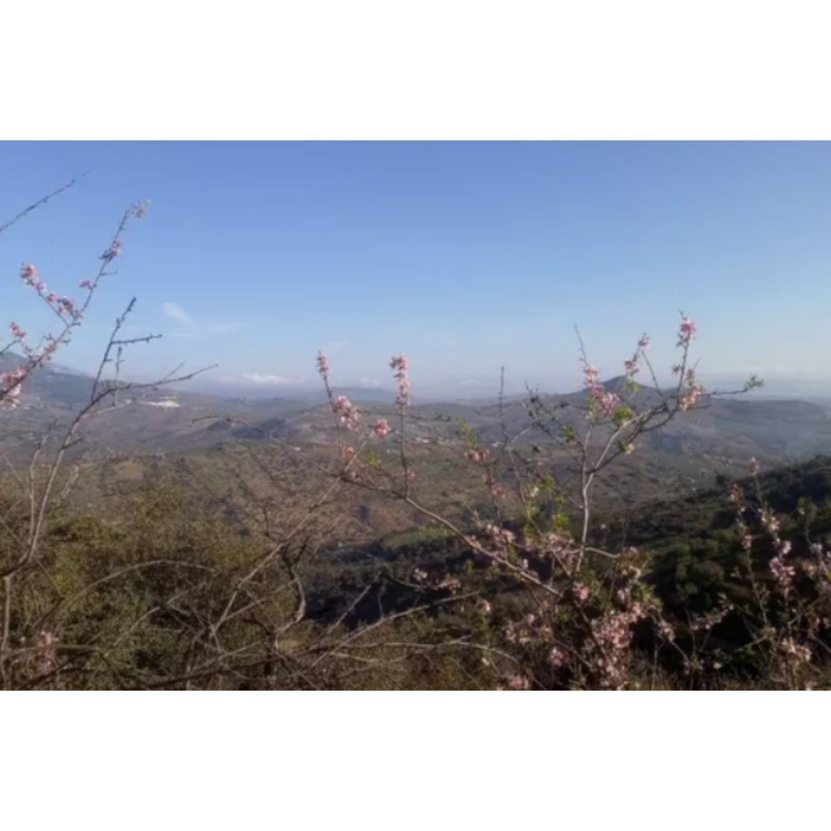 FINCA EN VENTA EN TOLOX, SIERRA DE LAS NIEVES