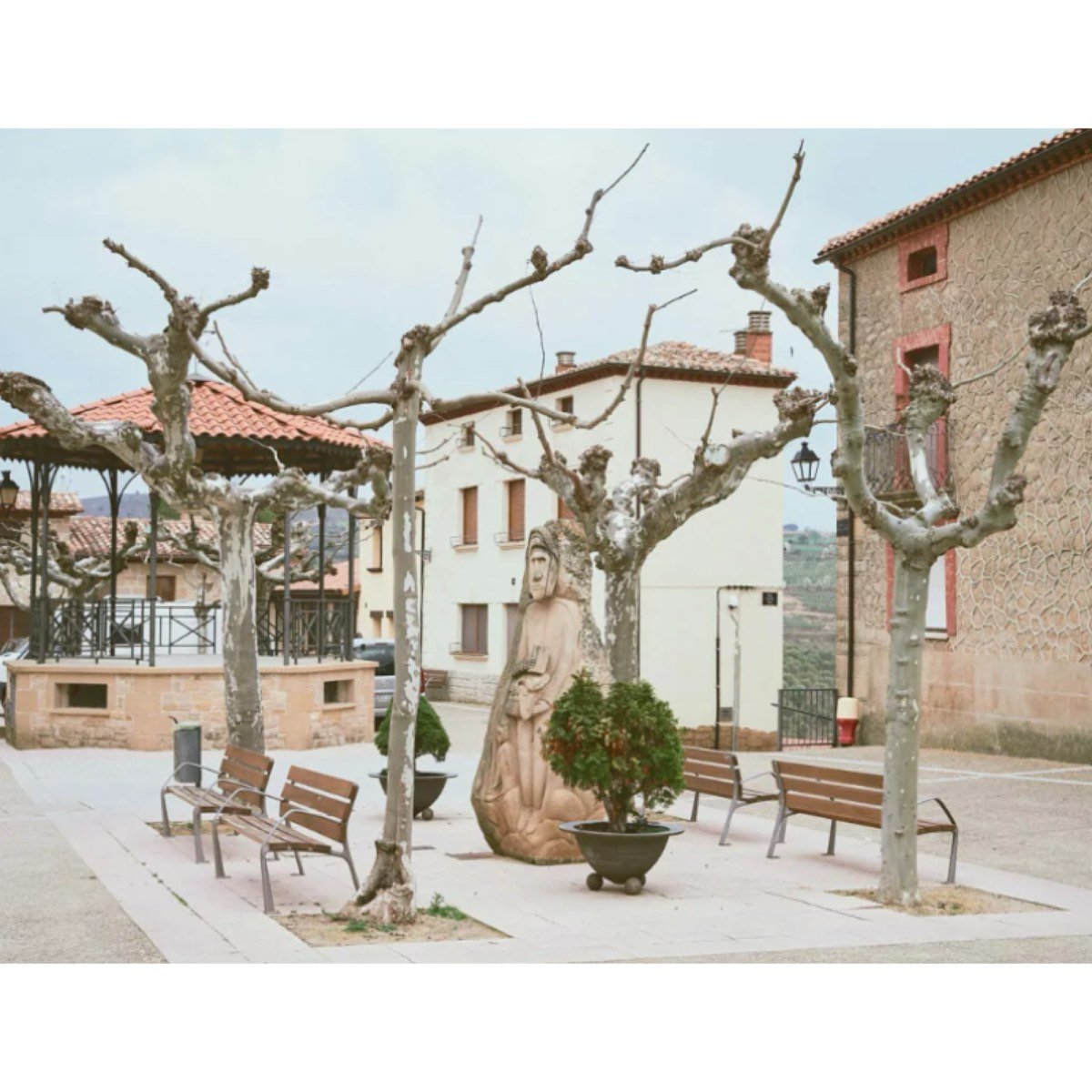 Bargota Navarra