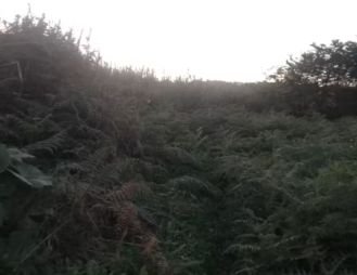 SE VENDE FINCA EN VALLESECO