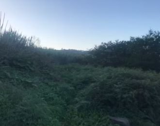 SE VENDE FINCA EN VALLESECO