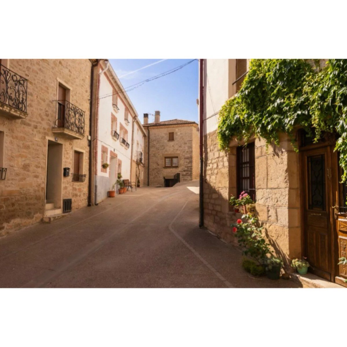 Azuelo Navarra
