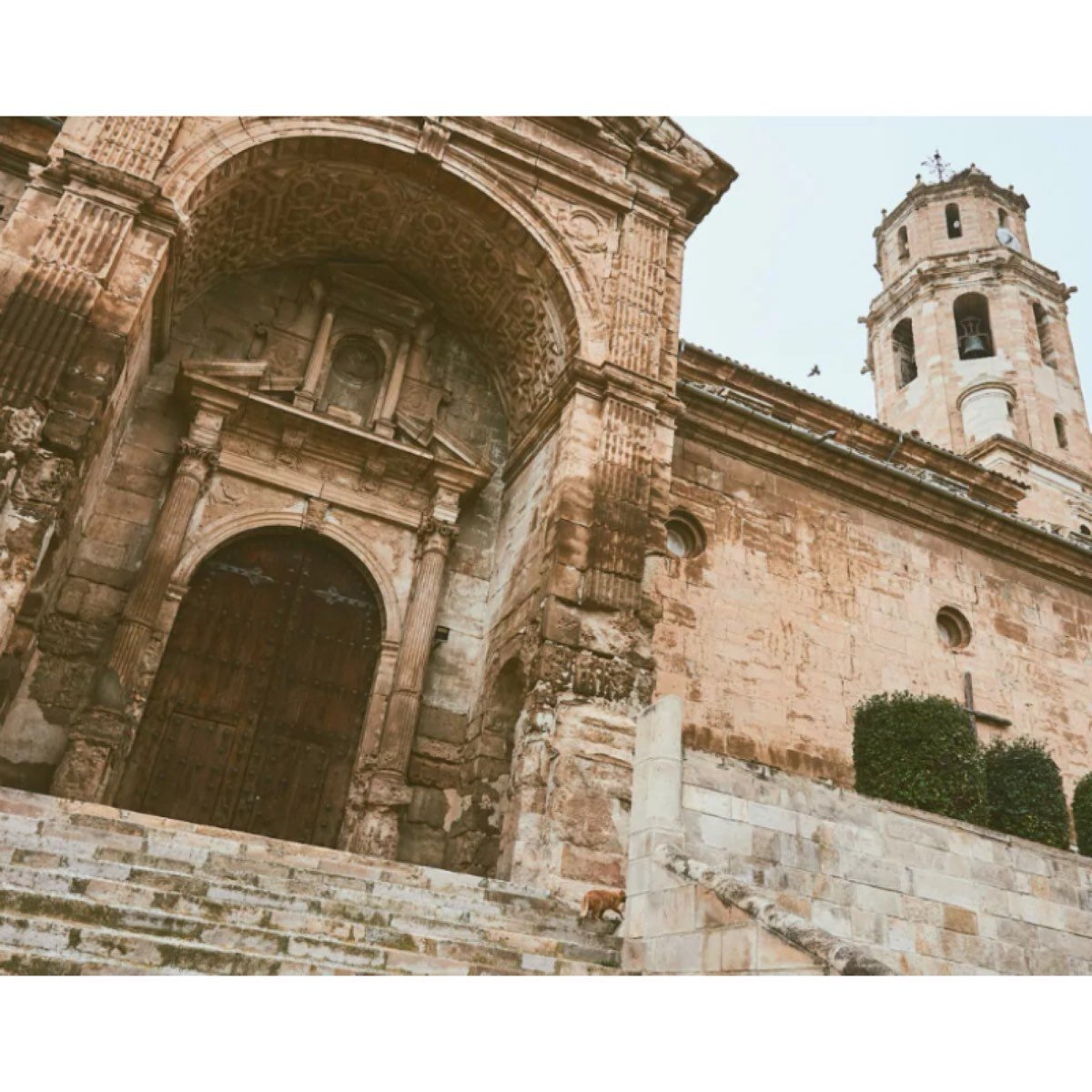 Fonz Huesca