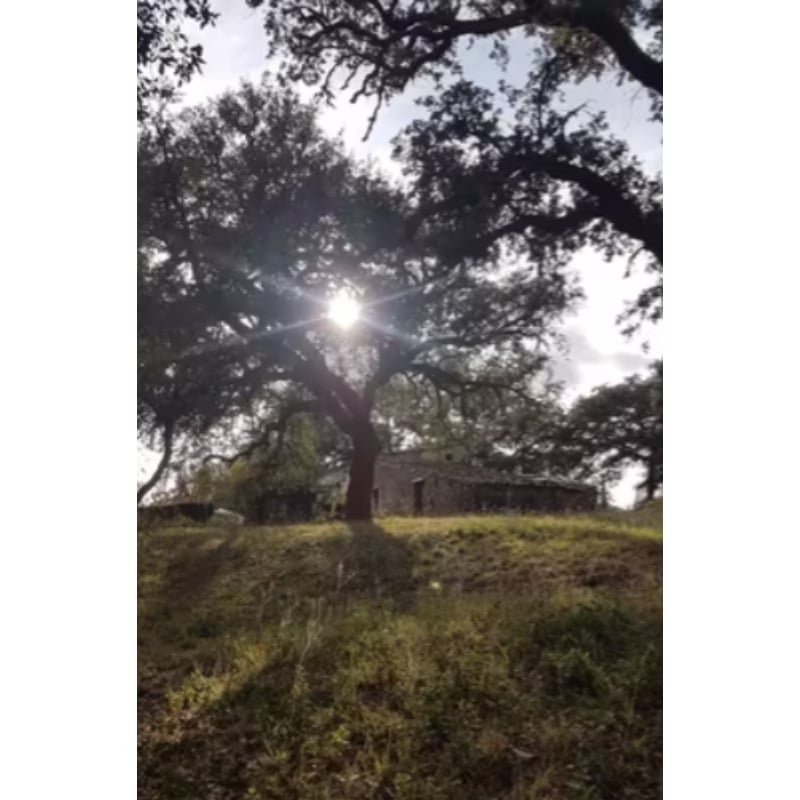 FINCA EN CORTEGANA