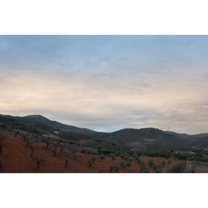FINCA DE ALMENDROS (SECANO)
