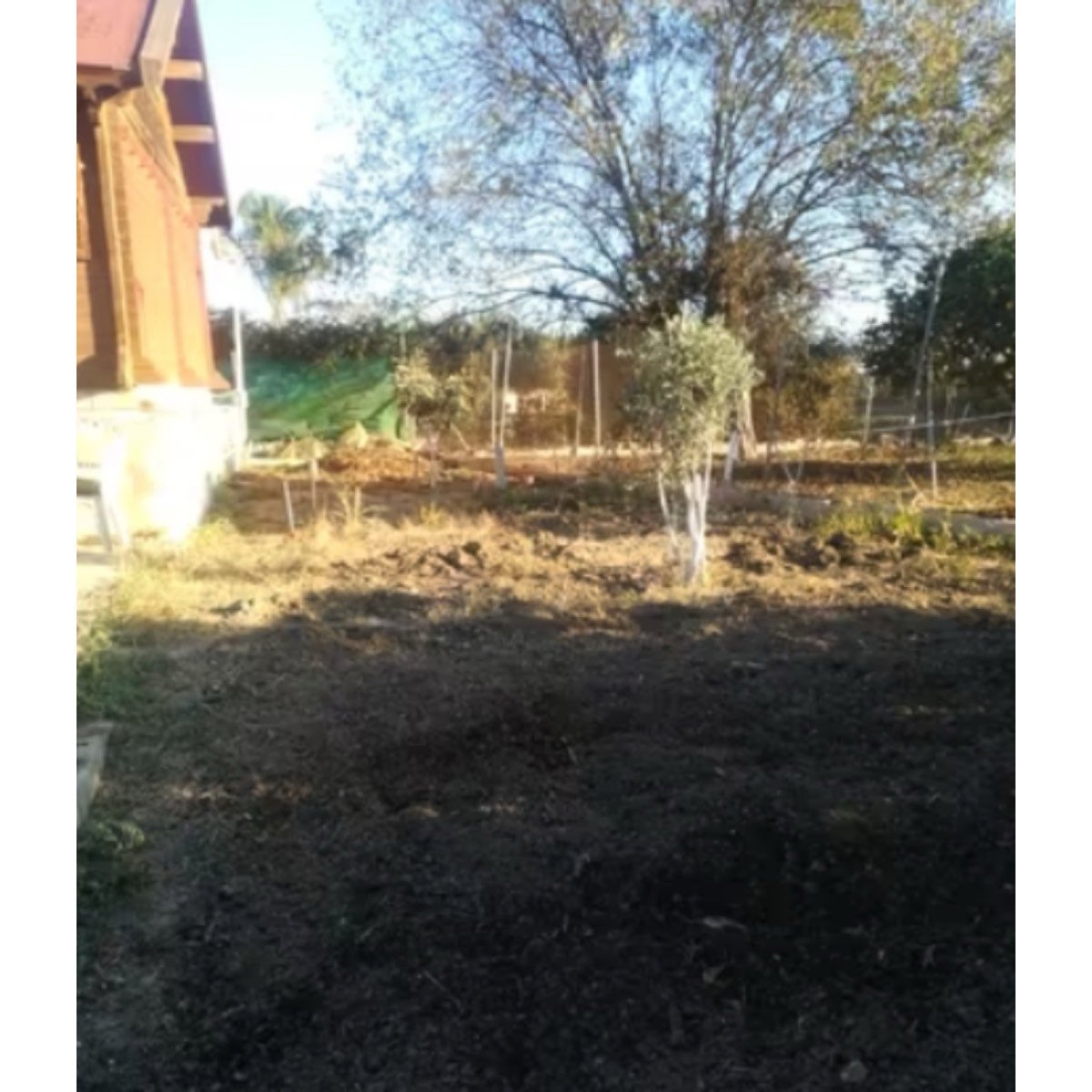 PARCELA EN ZONA CUATRO VIENTOS, ALHAURIN