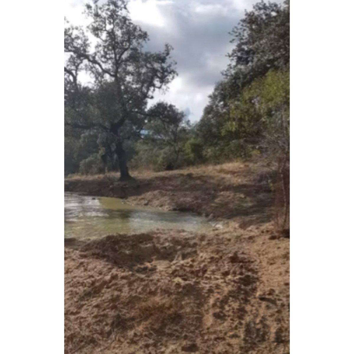 FINCA EN CORTEGANA