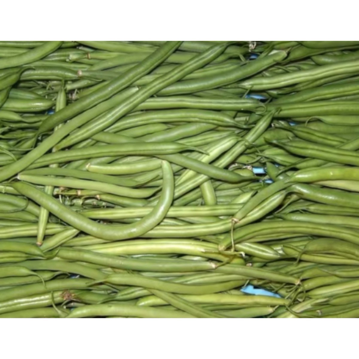 VENTA A DOMICILIO DE FRUTA Y VERDURA