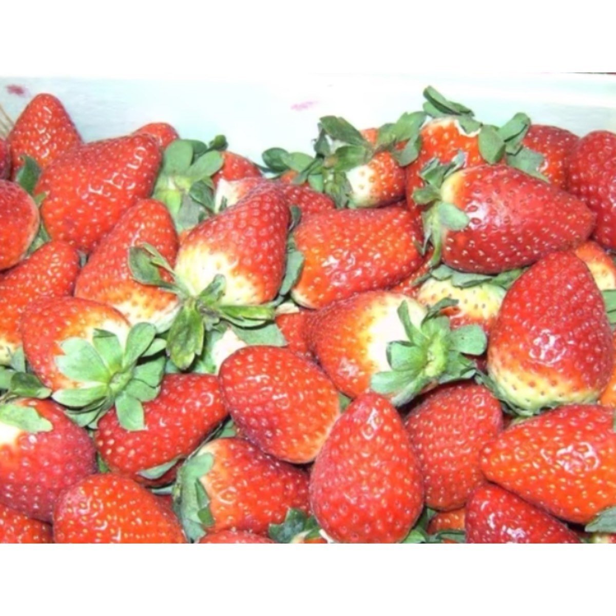 VENTA A DOMICILIO DE FRUTA Y VERDURA
