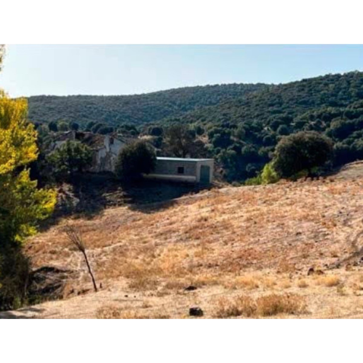 VENTA DE CORTIJO EN FRAILES, ALCALÁ LA R