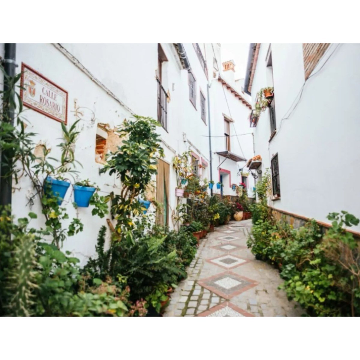 Benarrabá Málaga