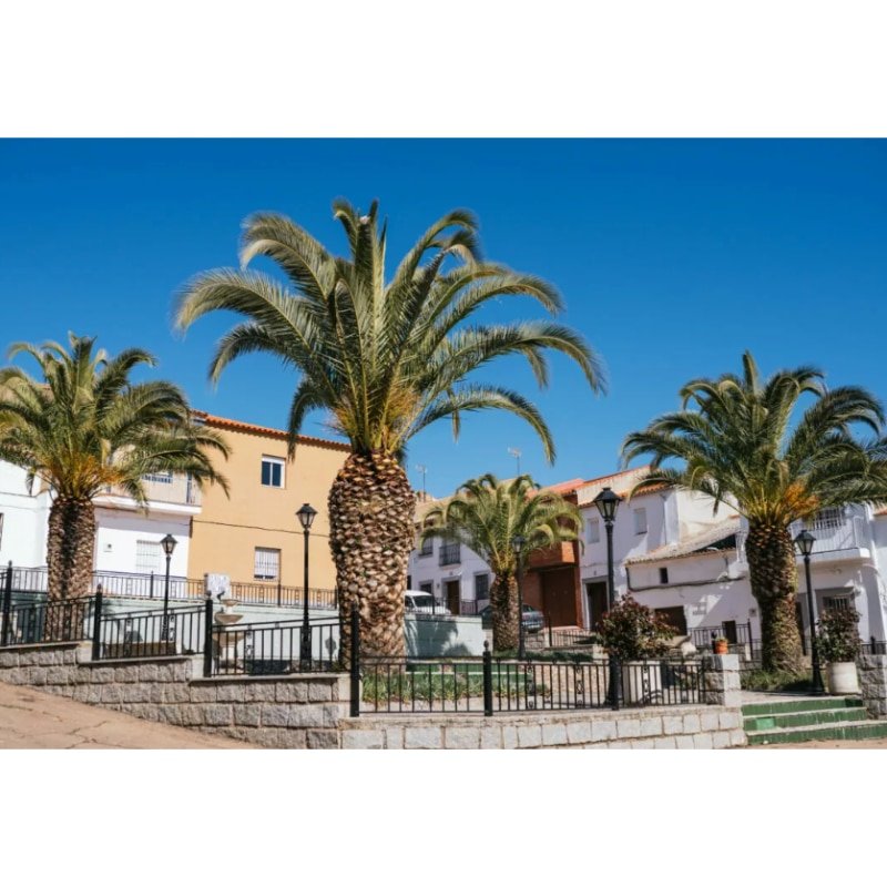 San Benito Ciudad Real