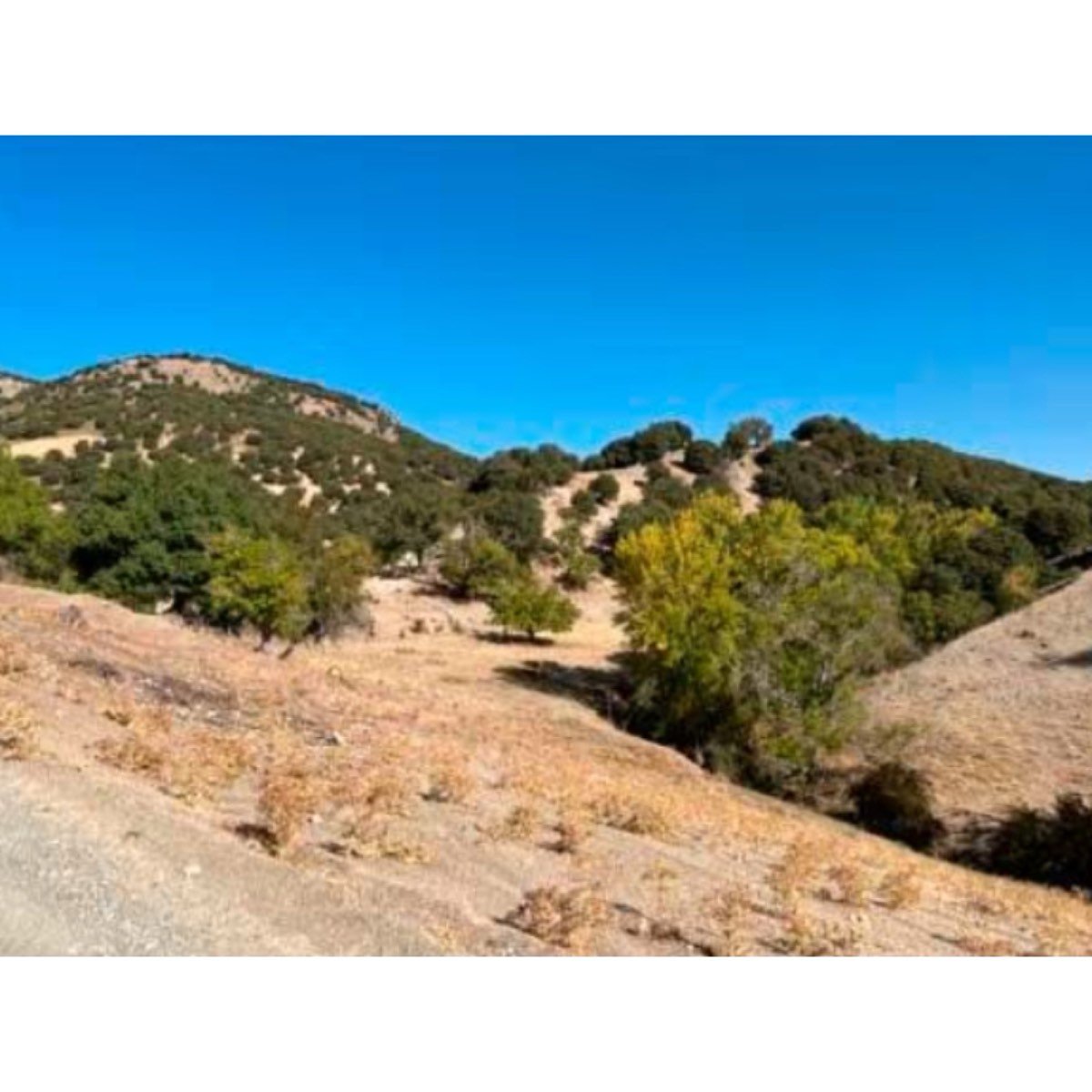 VENTA DE CORTIJO EN FRAILES, ALCALÁ LA R