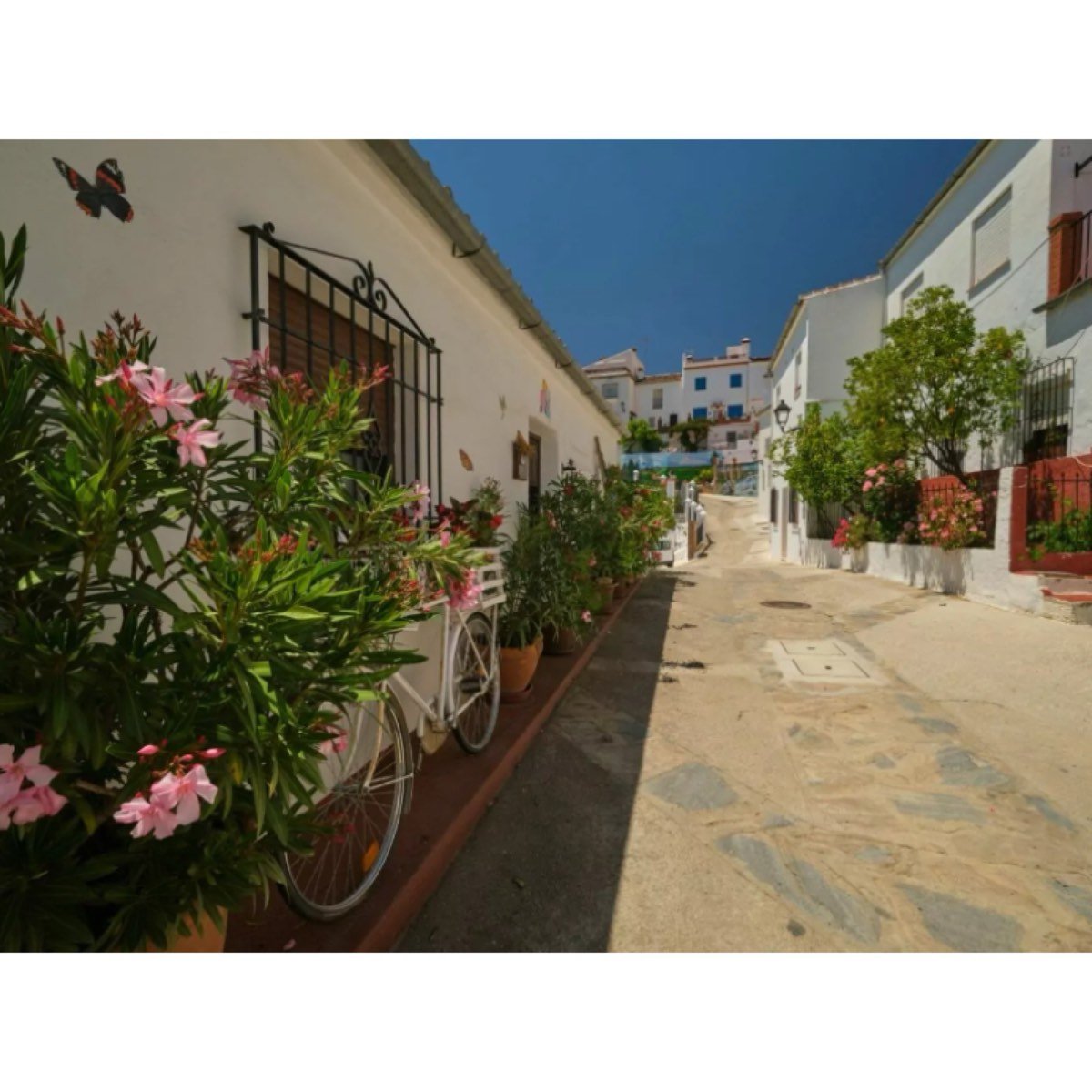Cartajima Málaga
