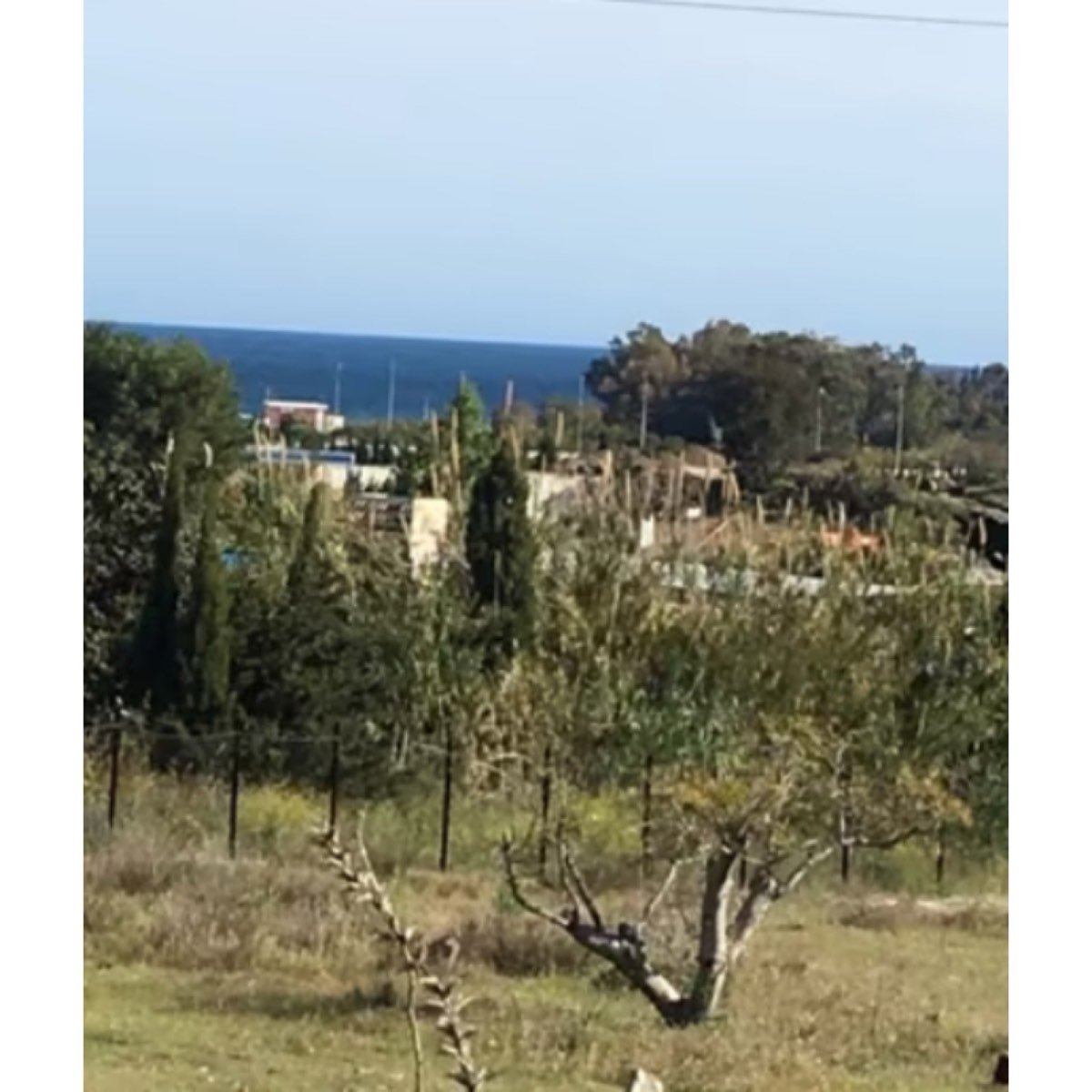FINCA RUSTICA DE REGADÍO, CON CASA.