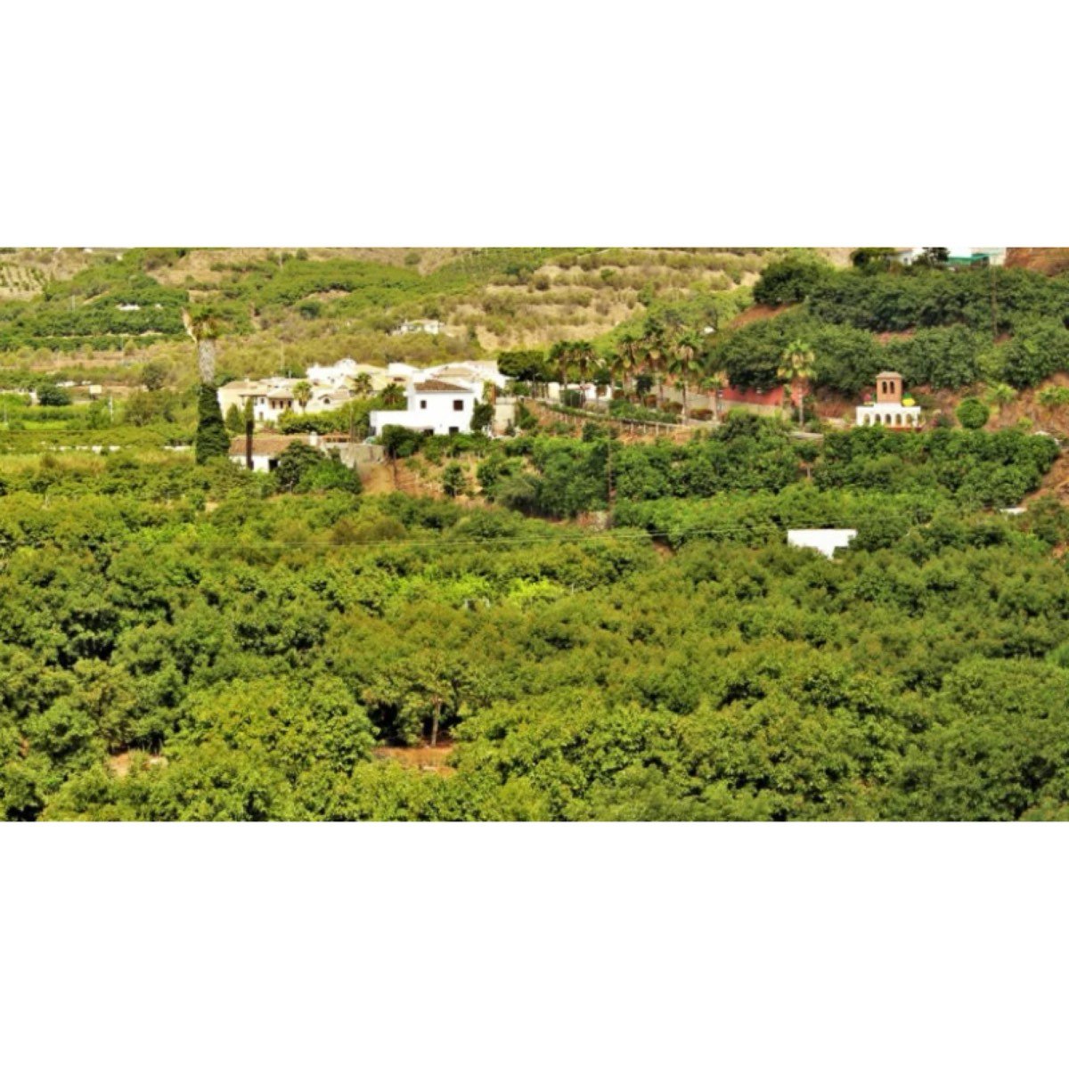 Benamargosa Andalucía