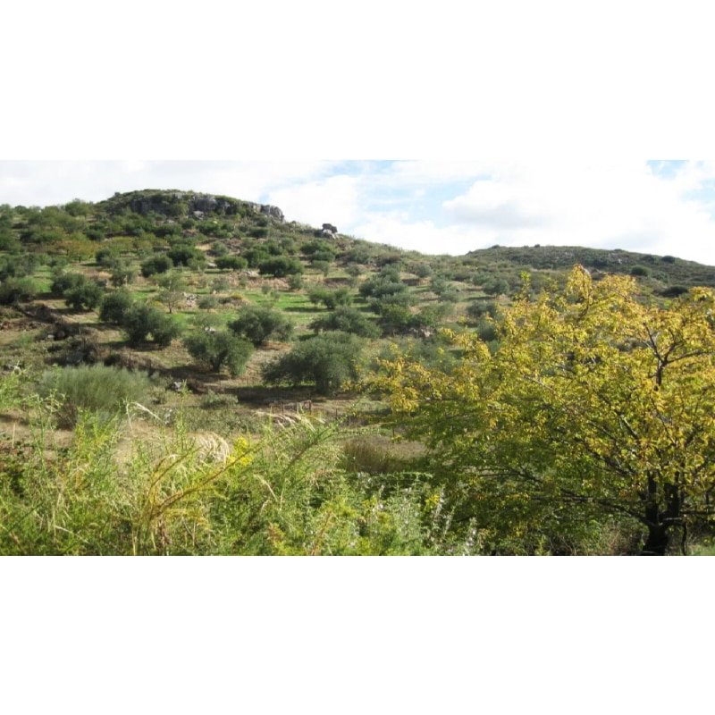 Alpandeire Andalucía