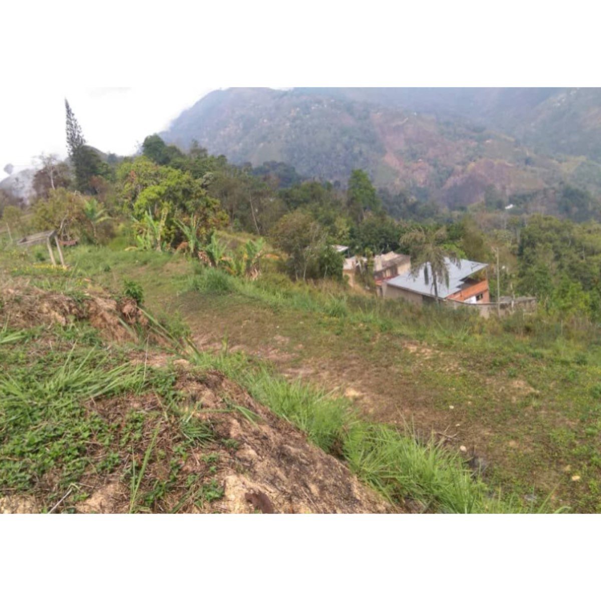 VENDO TERRENO EN TURGUA MUNICIPIO EL HATILLO