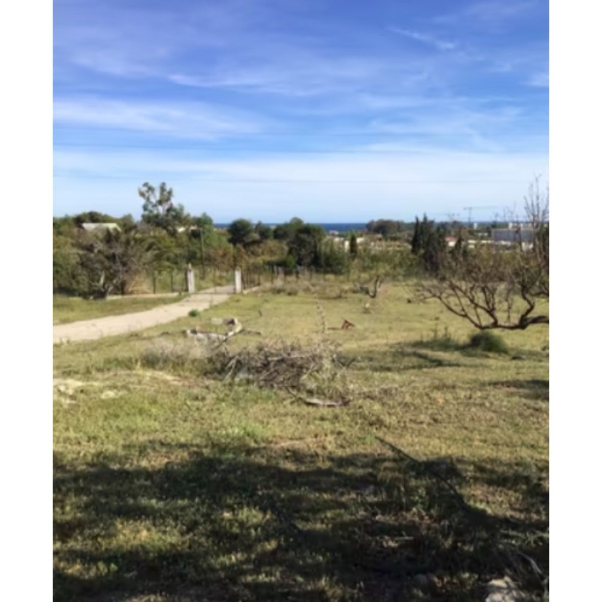 FINCA RUSTICA DE REGADÍO, CON CASA.