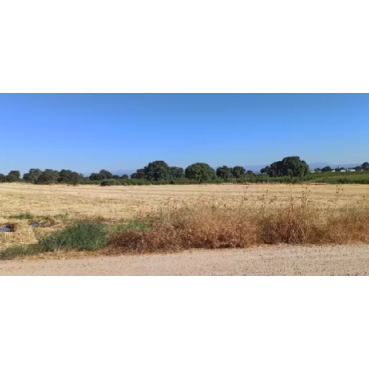 VENTA FINCA RUSTICA EN MALPICA DE TAJO