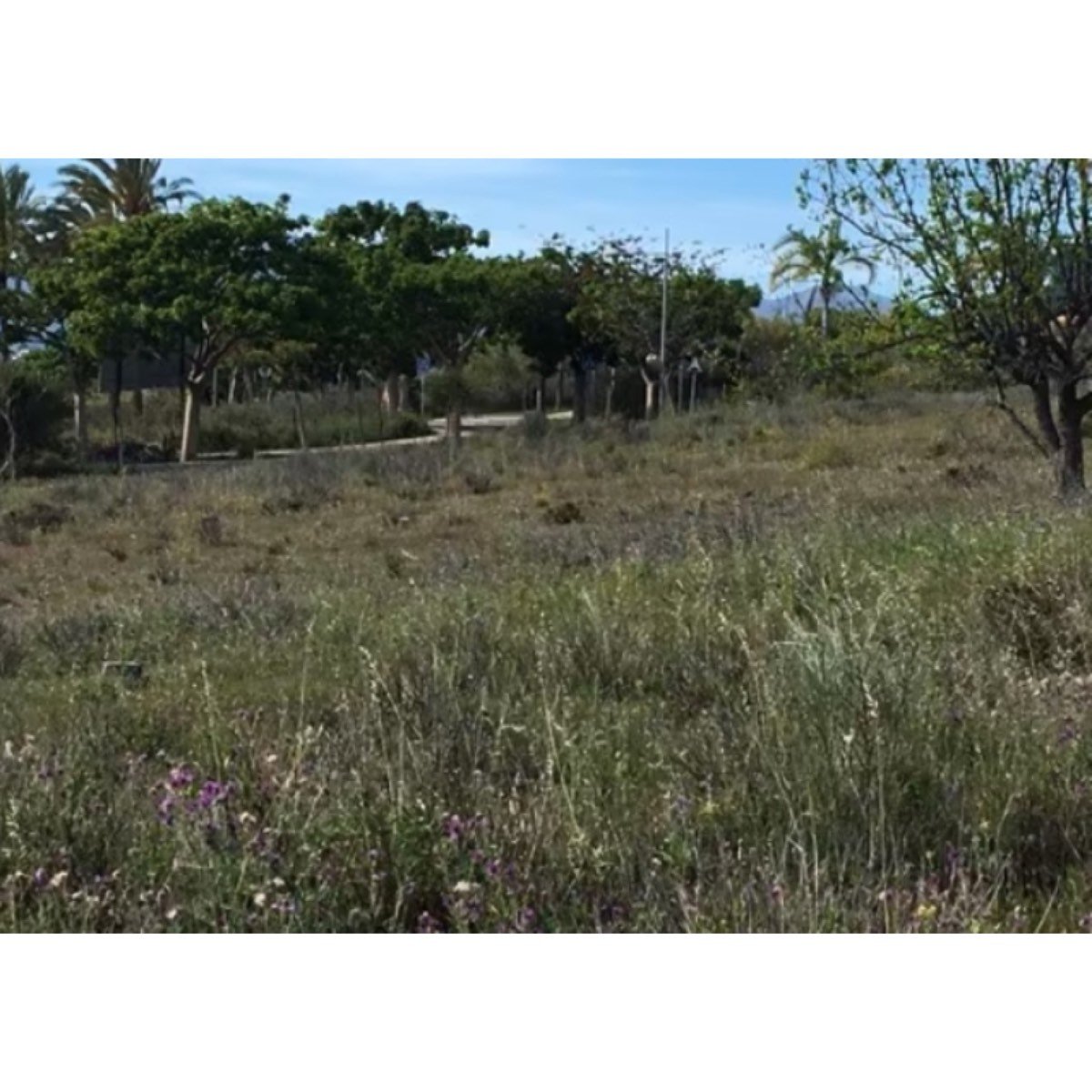 FINCA RUSTICA DE REGADÍO, CON CASA.