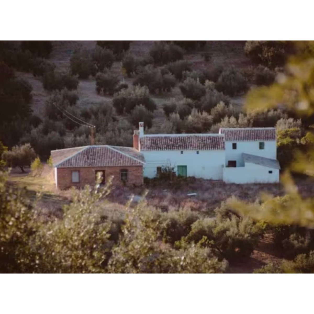 LAS NAVAS DE PRIEGO, LOS CUELLOS - S/N