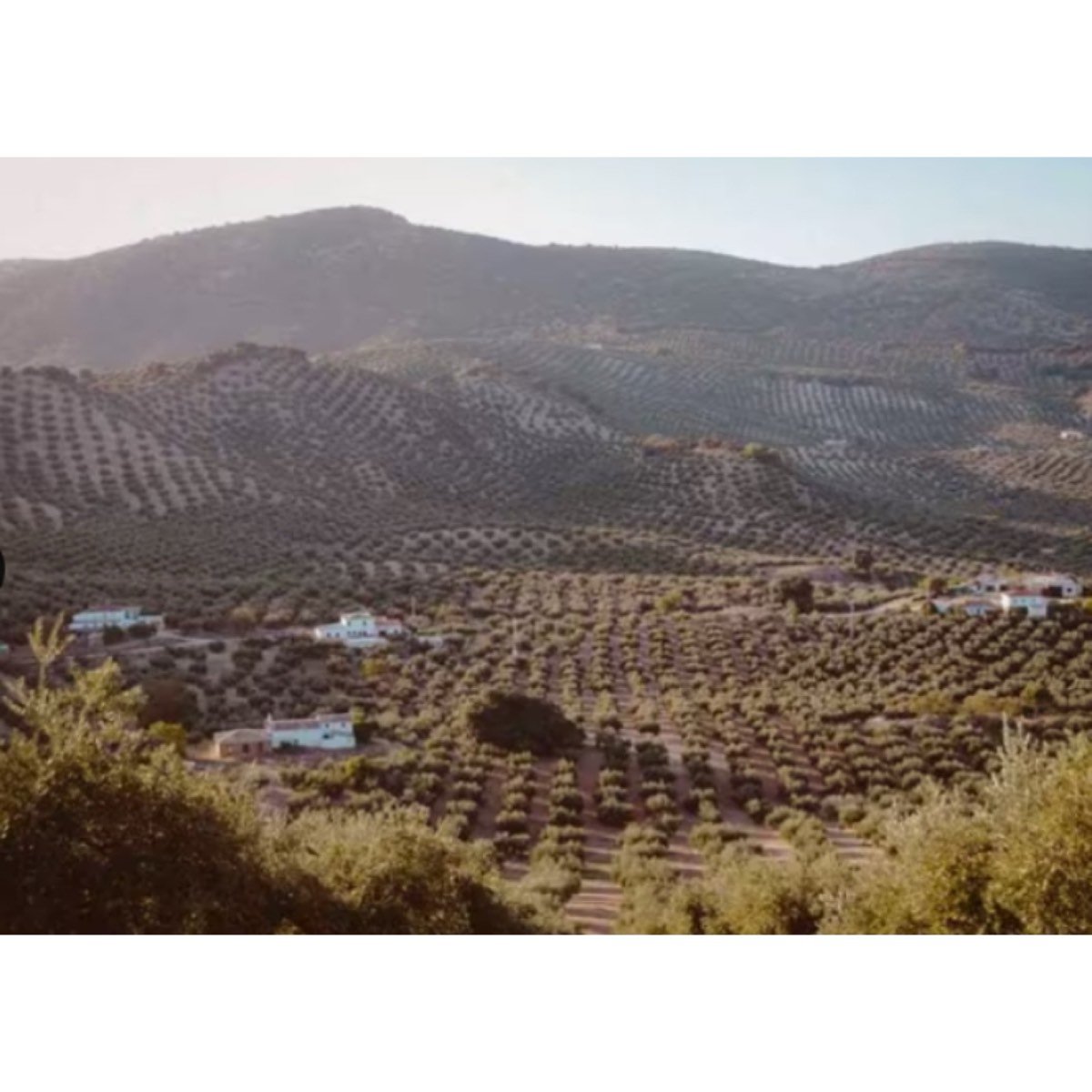 LAS NAVAS DE PRIEGO, LOS CUELLOS - S/N