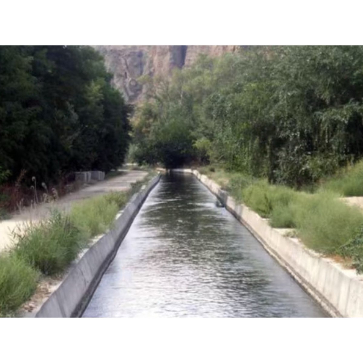 FINCA RUSTICA DE REGADÍO, CON CASA.