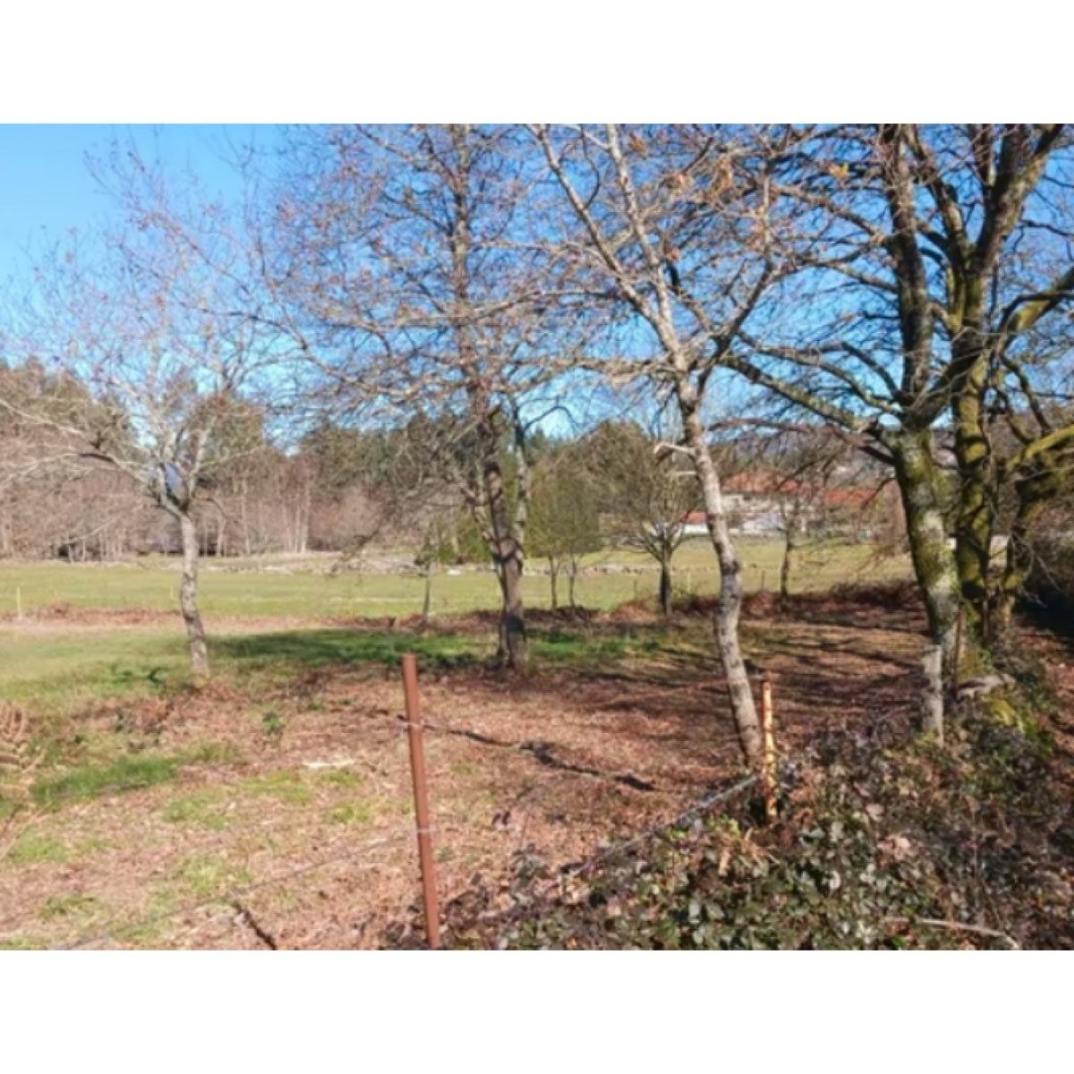FINCA A LA VENTA EN GALICIA
