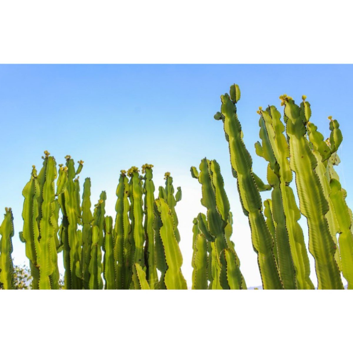 Casarabonela Andalucía