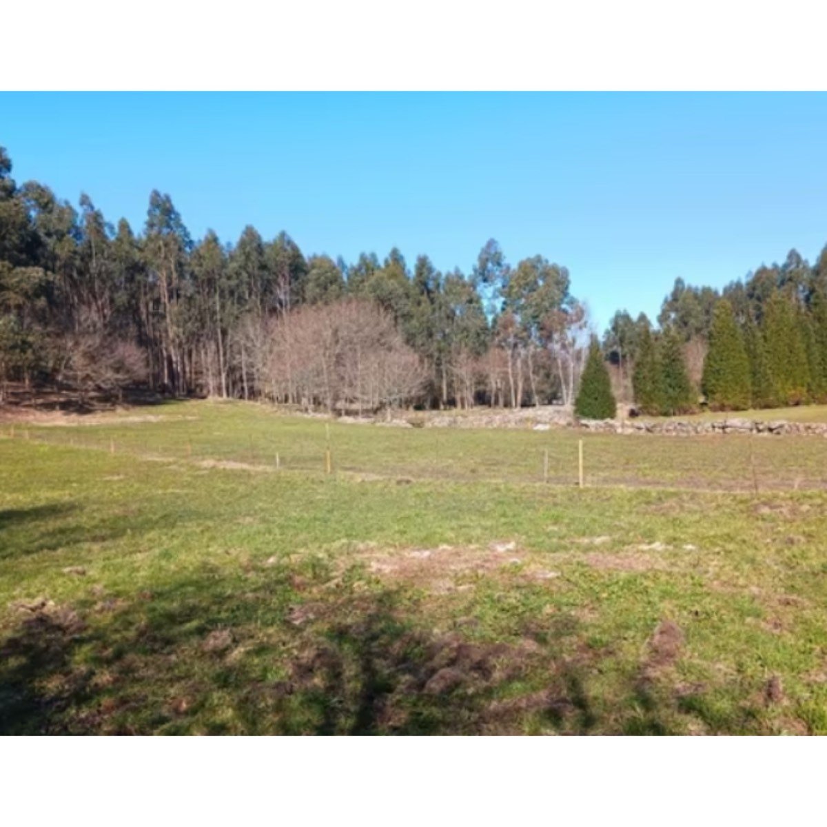 FINCA A LA VENTA EN GALICIA