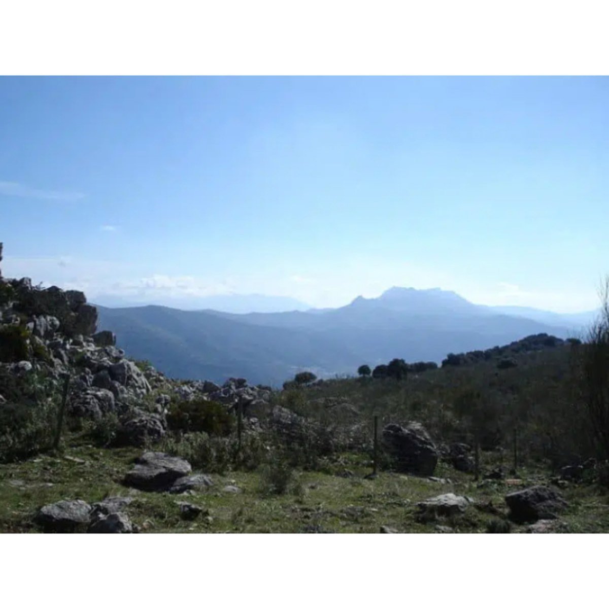 Cortes de la Frontera Andalucía