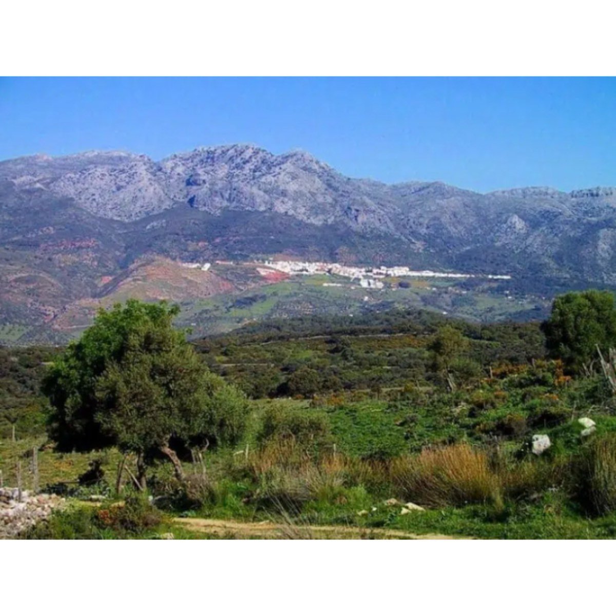 Cortes de la Frontera Andalucía