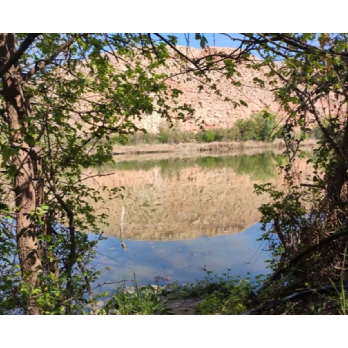 TERRENO RUSTICO A LA VENTA