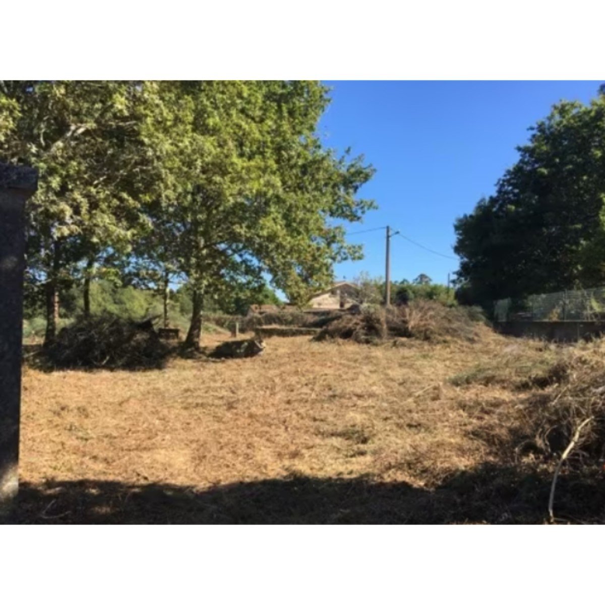 FINCA EN VENTA - PINZAS